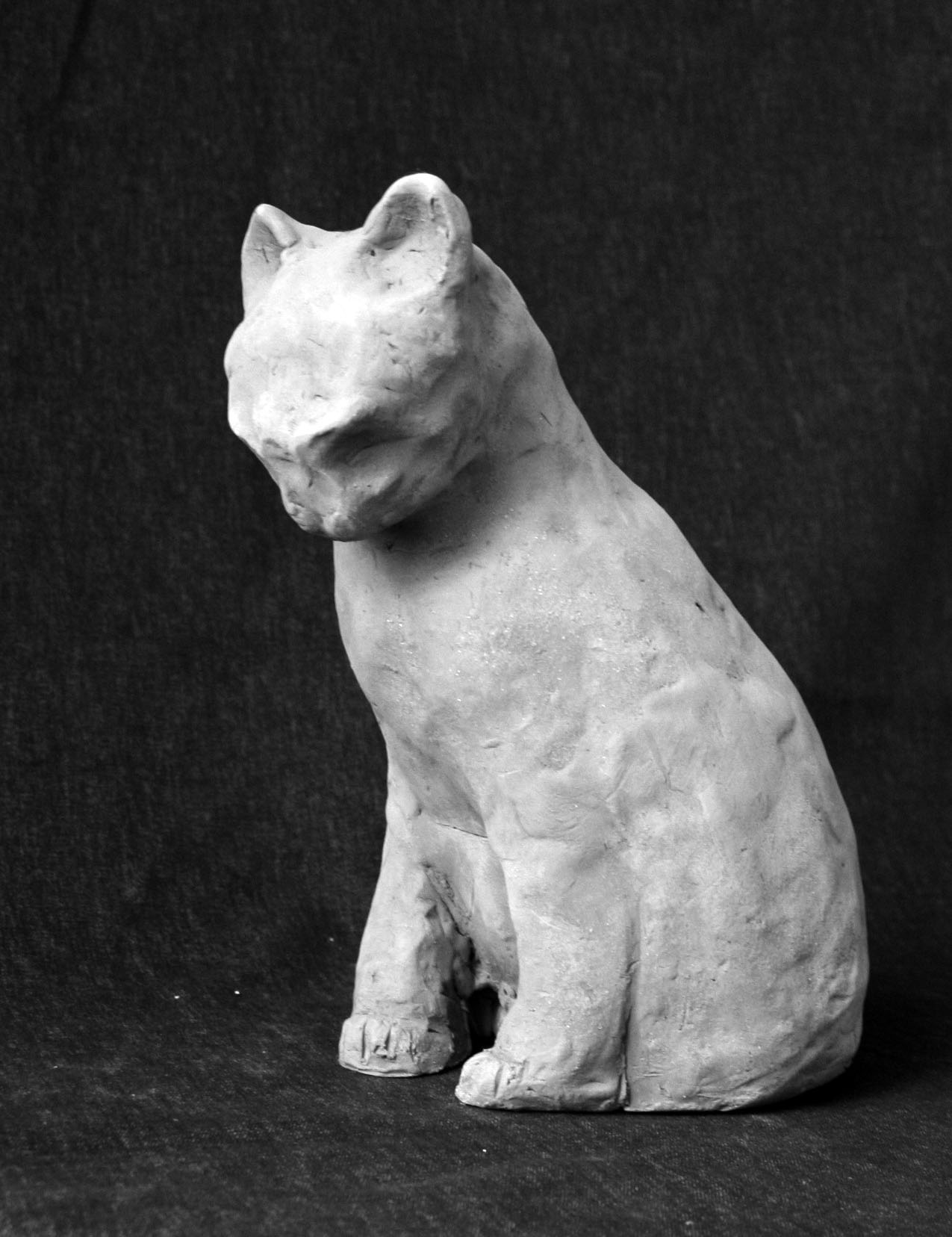 page-20-atelier-terre-des-marais-2-2592897