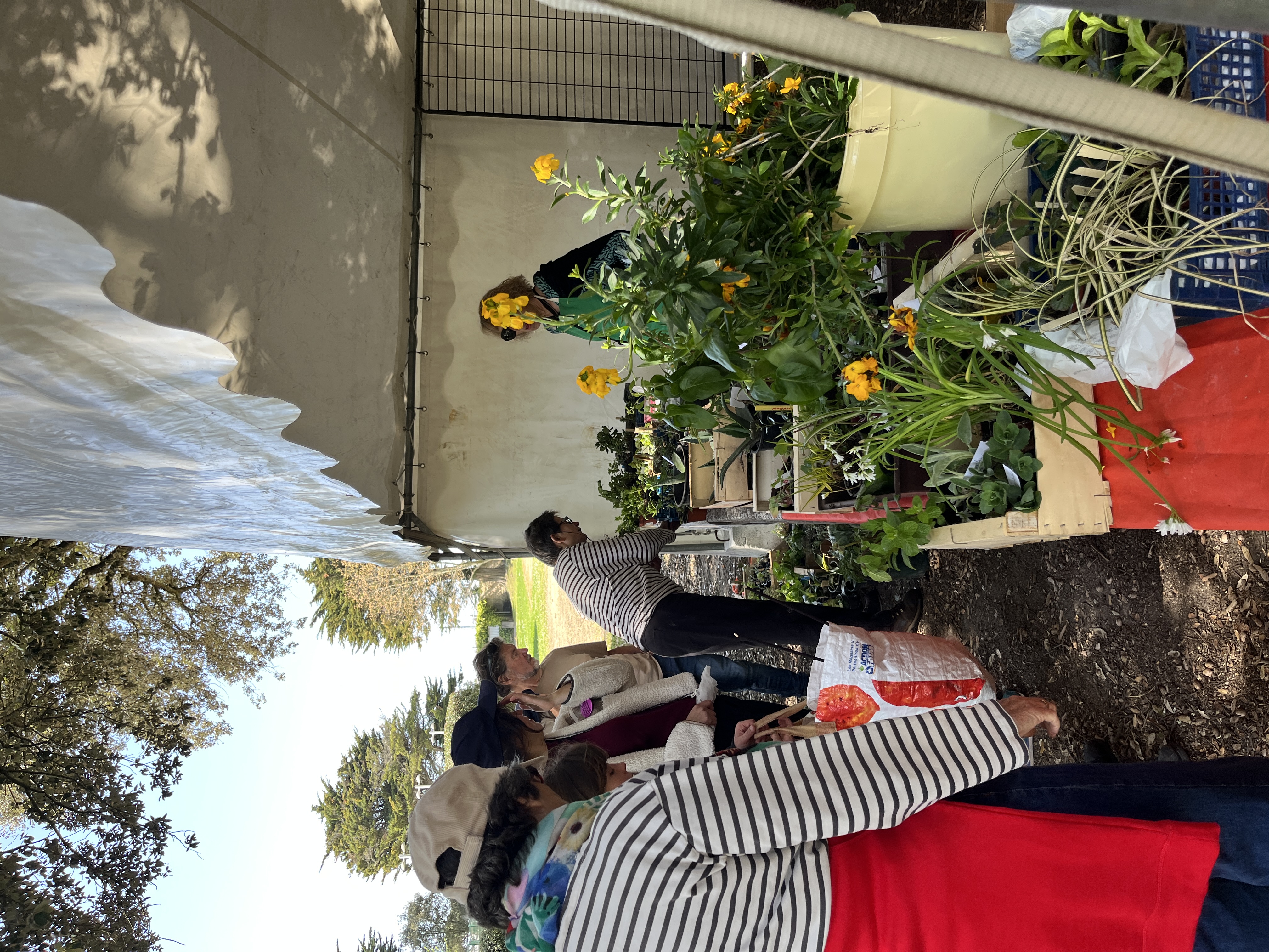 potager-de-marianne-3-2600843